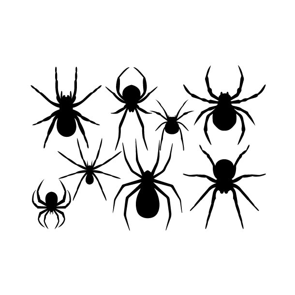 Selvklbende - edderkopper  30 cm