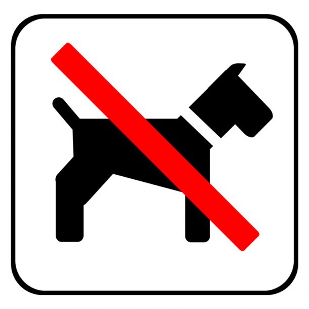 Hund forbudt  80x80 mm  