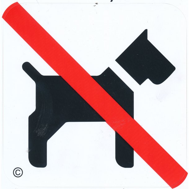 Hund forbudt - 120x120 mm - selvklbende