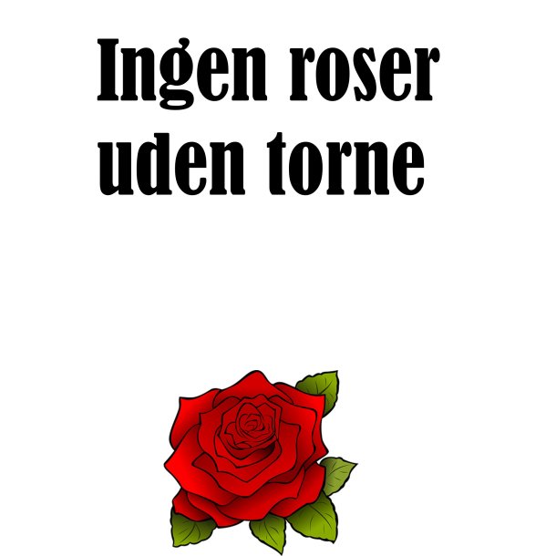 Plakat - Ingen roser uden torne