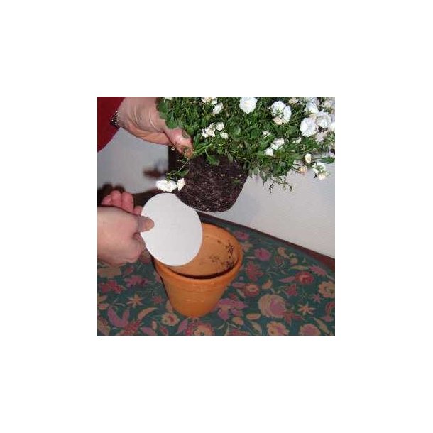 Gdningsbrik - yderst effektiv til potteplanter